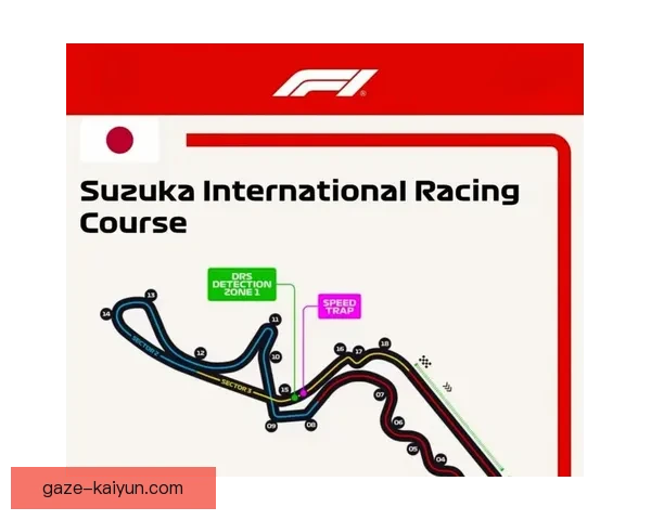 F1赛季最新动态：车队战术调整与赛道表现全面解析