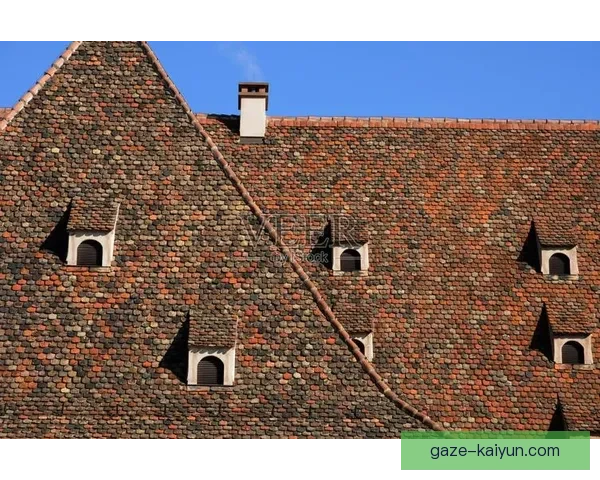 斯特拉斯堡俱乐部的历史传承与现代崛起探秘